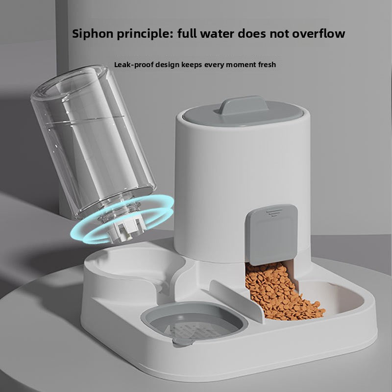 Comedero Automático y Dispensador de Agua para Gatos