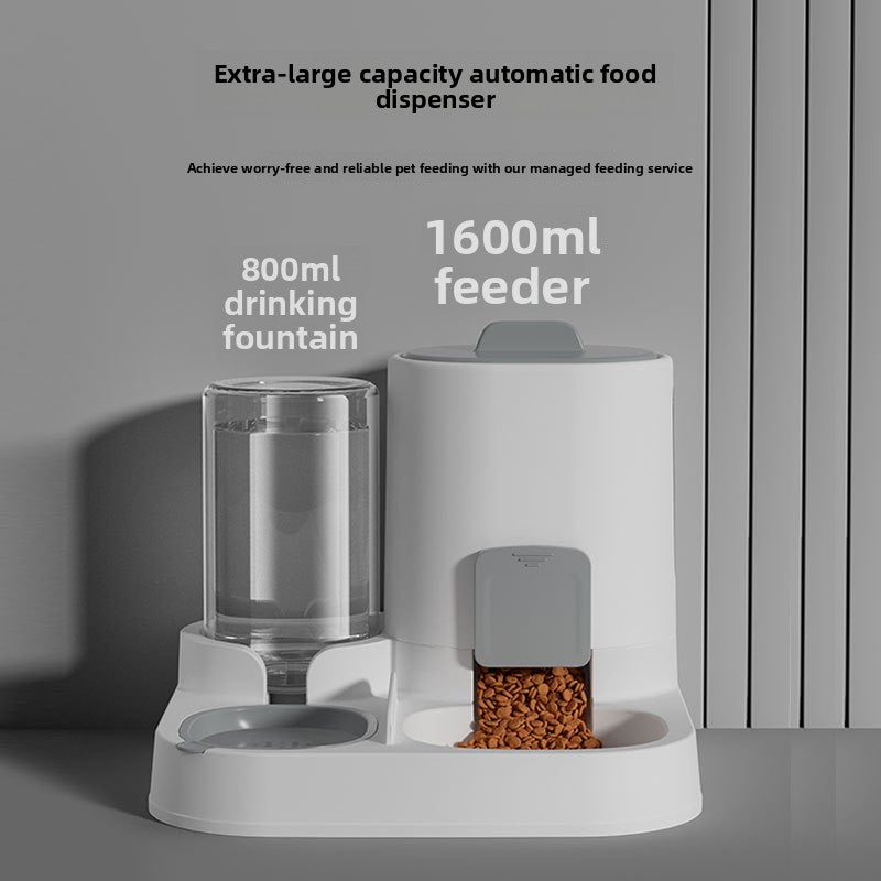 Comedero Automático y Dispensador de Agua para Gatos